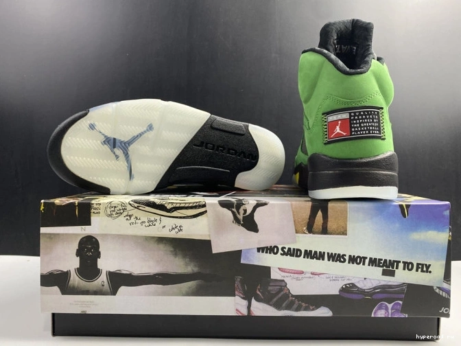 Jordan Oregon SE Air 5 CK6631-307 Ducks 1217